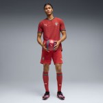 Maillot Portugal Domicile Version Joueur (Personnalisable)
